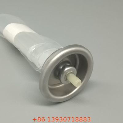 Инновационная система Bag-on-Valve для аэрозольных распылителей пищевых продуктов и косметики